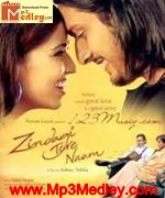 Zindagi Tere Naam 2008